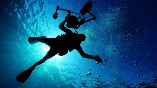 Vacances en Guadeloupe : le baptême de plongée s&rsquo;impose !